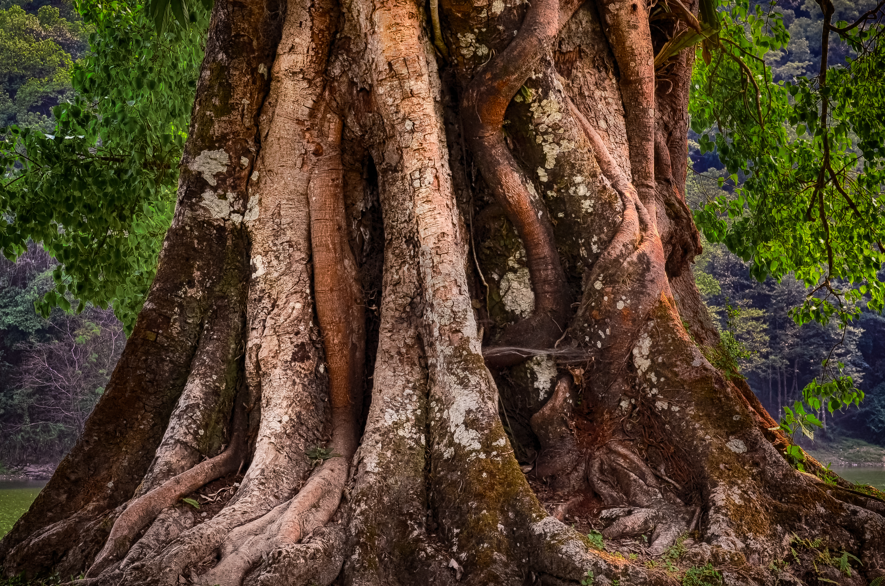 All you need to know about solar energy.